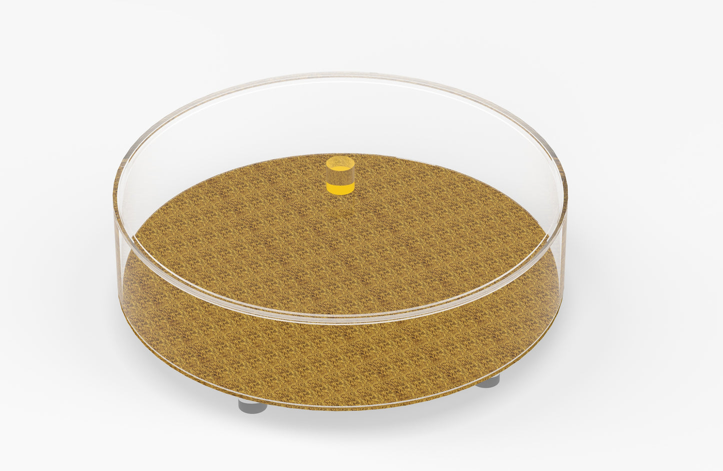 Acrylic Matzoh Box Gold Textured Design 12.5”W X 3”H