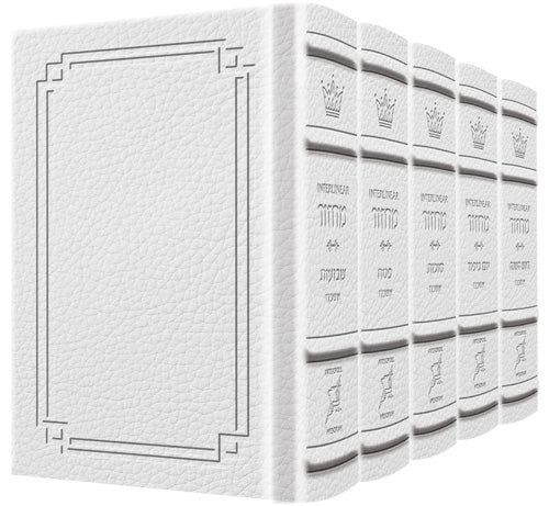 Signature Leather Collection Ashkenaz Schottenstein Int Full-Size 5 Vol White