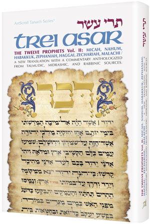 TREI ASAR II / TWELVE PROPHETS II (Hard cover