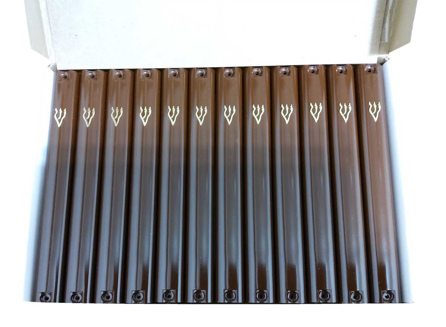Case Of 24 Brown Plastic Mezuzah Covers-Gold 'Shin 15 Cm