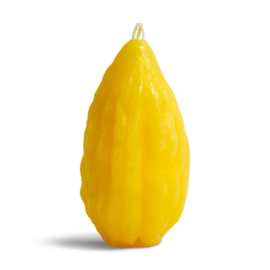 Havdala  Esrog Shape Candle