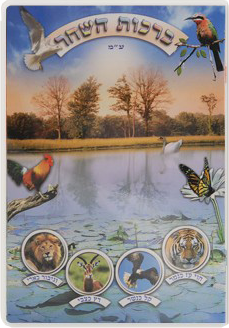 4 Page Birchat Hashachar EDUT MIZRACH