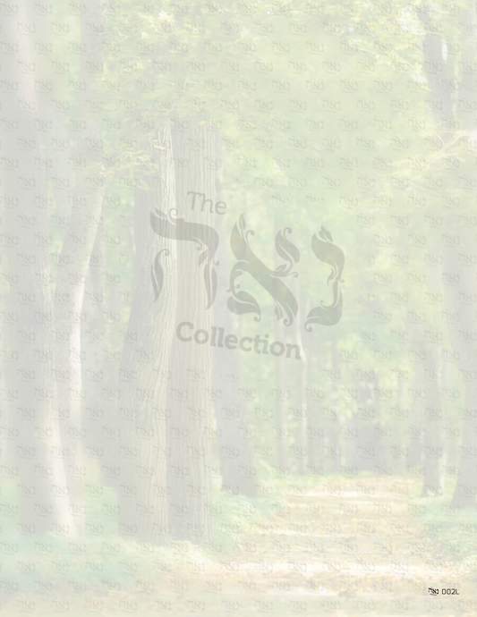 Design paper Scenic Pathway 8.5x5.5 " 20 Per Pack