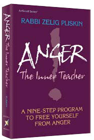 ANGER: THE INNER TEACHER [Pliskin] (H/C)