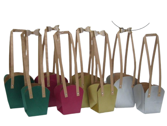 Cardboard bag with Long handles - Green