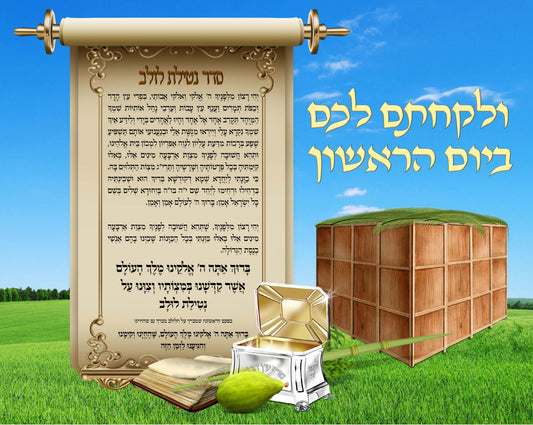 Sukkah Sign - Birchas Lulav Laminated 24X19"