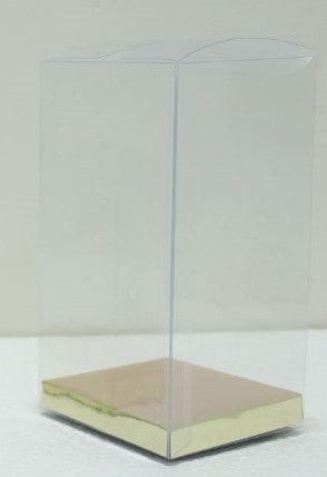 Transparent Bag with Gold base
