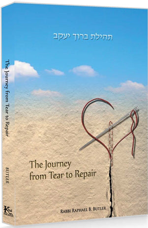 The Journey from Tear to Repair Paperback