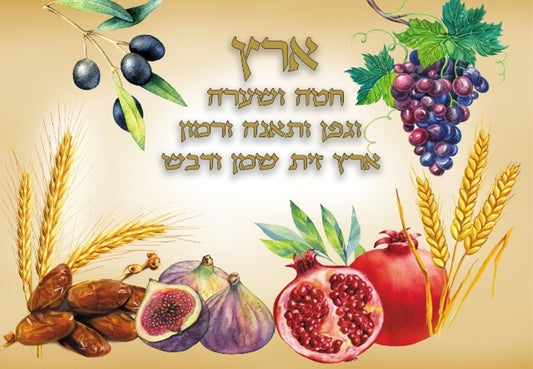 Sukkah Mural Decoration X Large Fabric' Shivat Haminim' print 4’7”X 10’