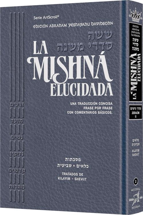 Spanish Mishnah Elucidated Zeraim Volume 2 - Davidsohn Edition