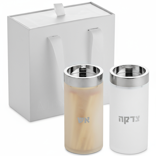 Alexandria  Acrylic Frosted & Silver Tzedakah & Match Container Set
