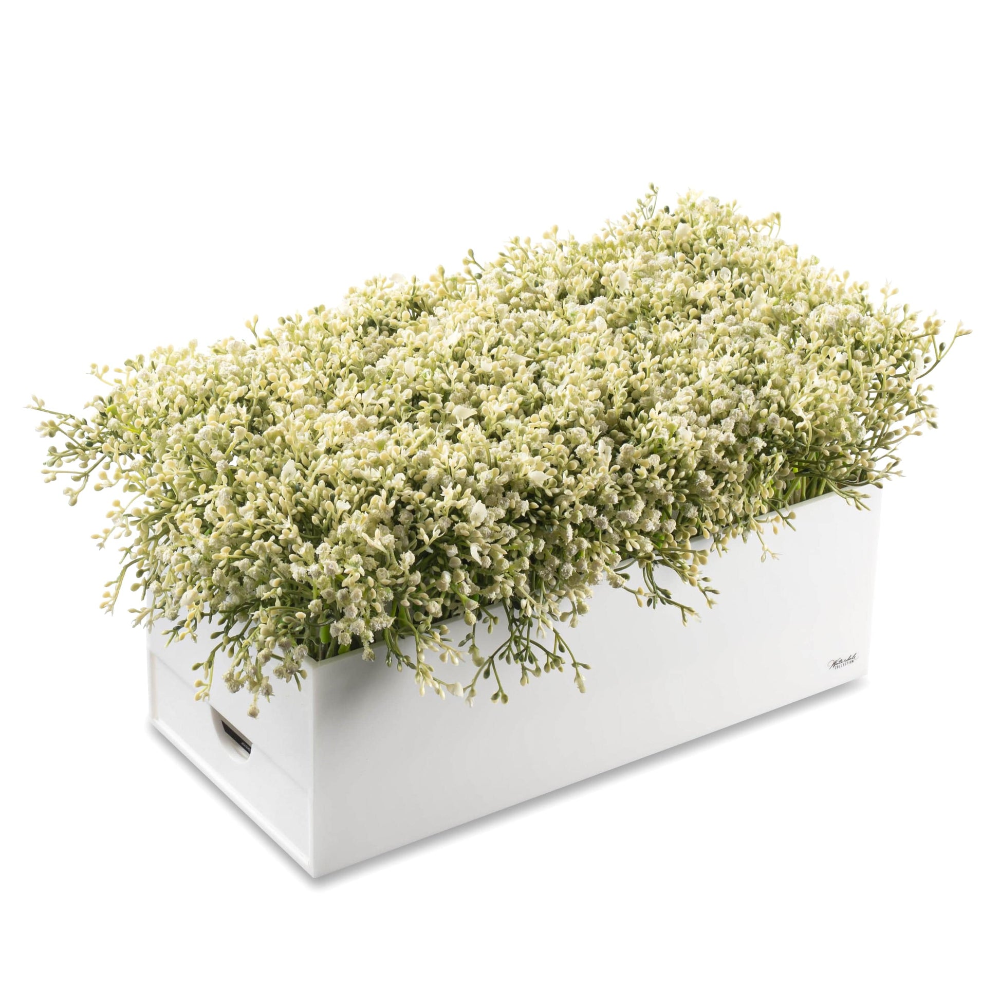 Babys Breath Bencher Set - Waterdale Collection