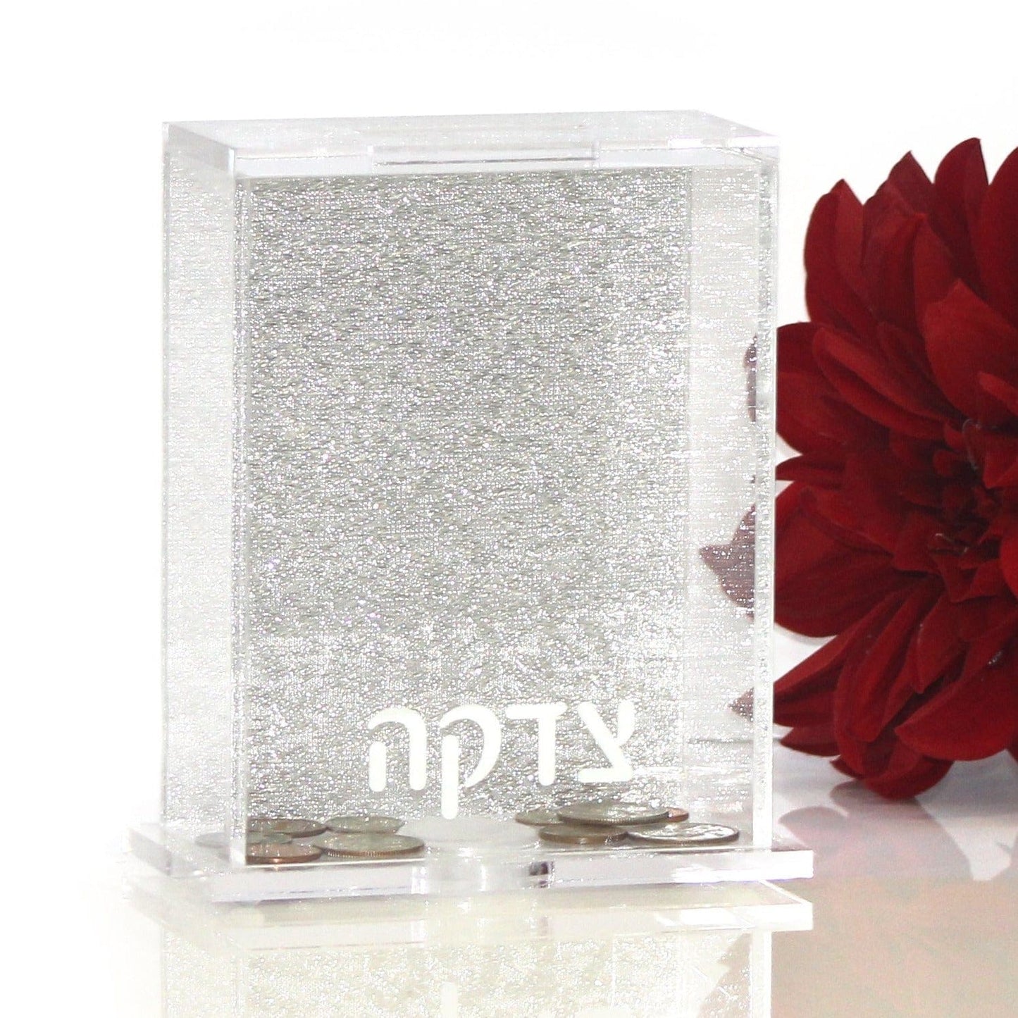 Back Color Tzedakah Box - Waterdale Collection