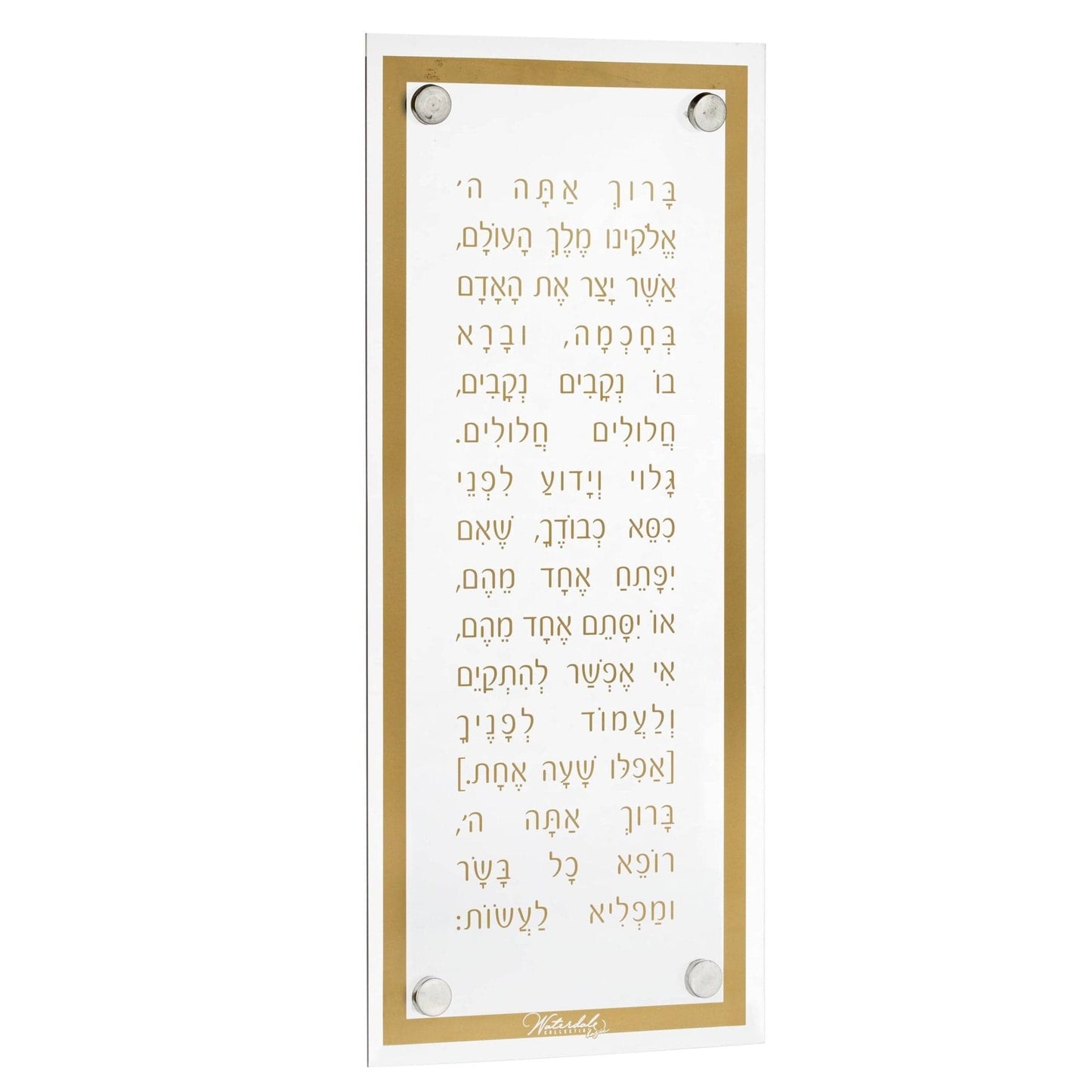 Basics Modern Asher Yatzar - Waterdale Collection