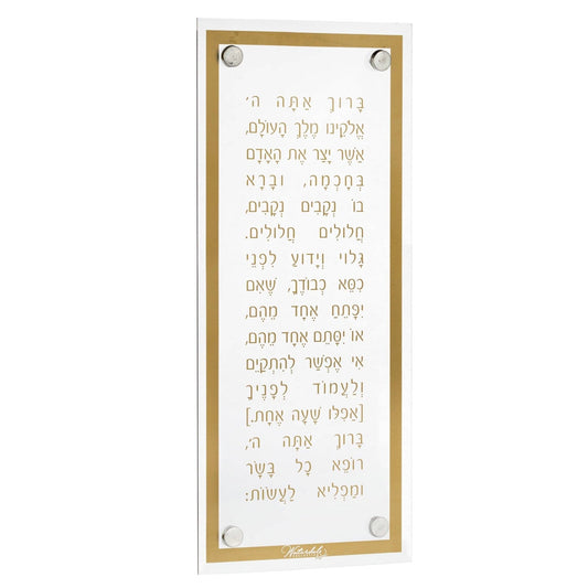 Basics Modern Asher Yatzar - Waterdale Collection