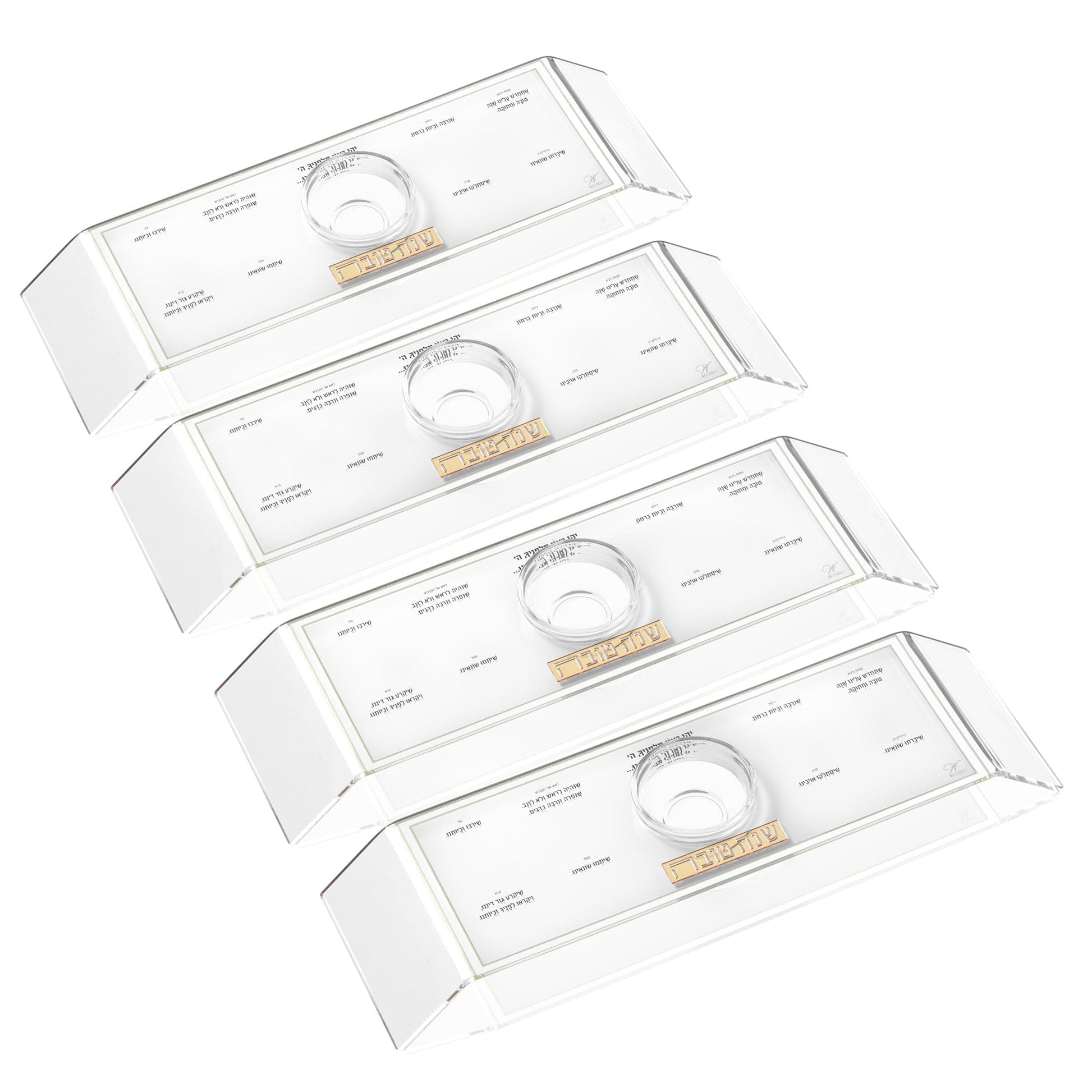 Gold Classic 2.0 Raised Simanim Trays (4)