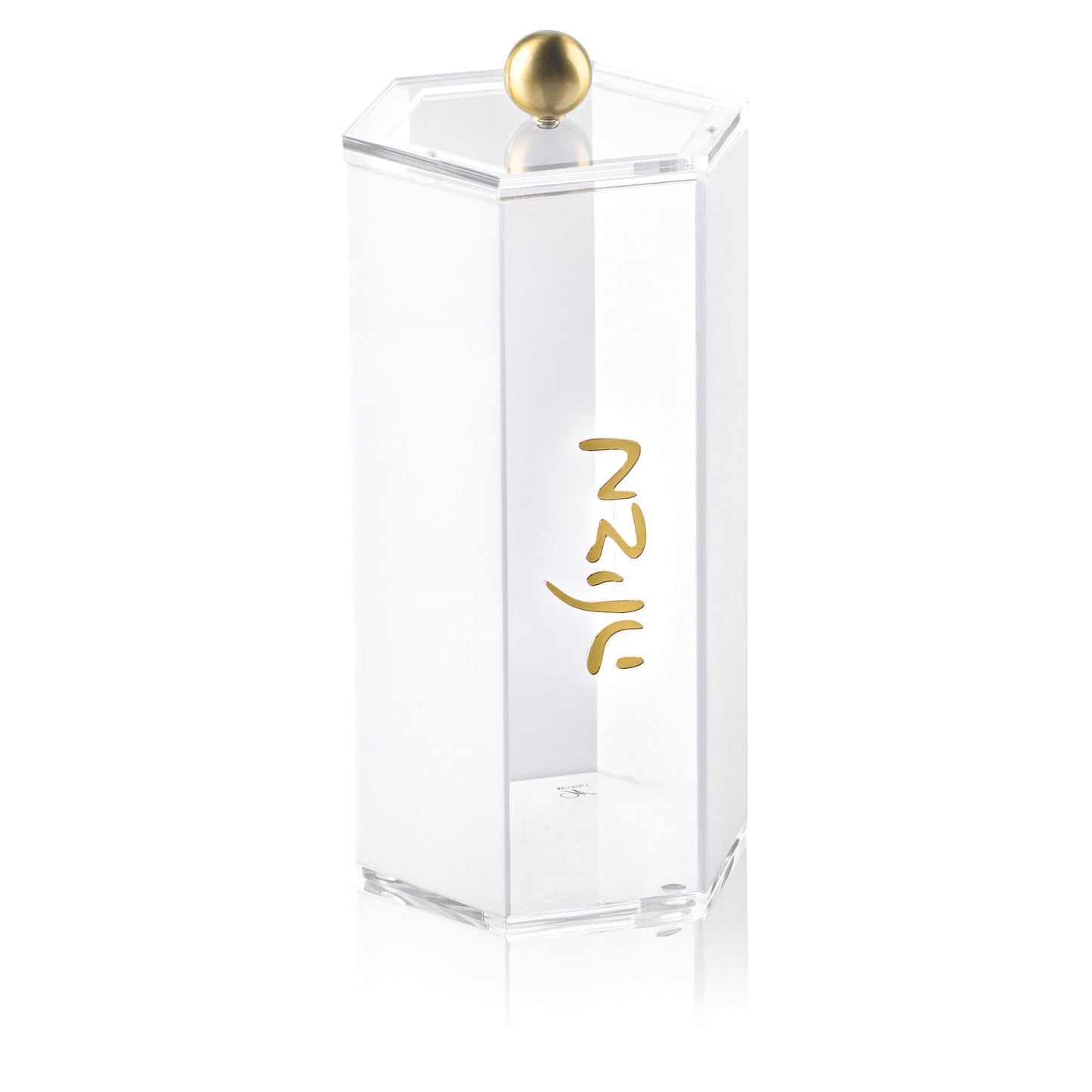 Classic Megillah Case - Waterdale Collection