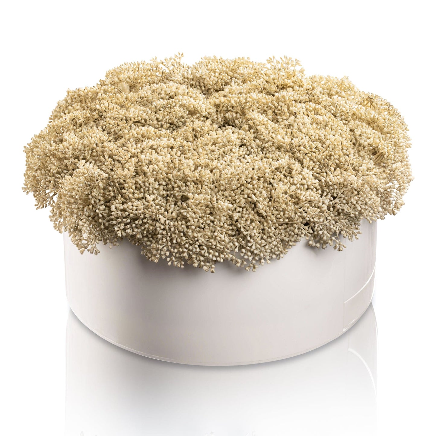 Greenery Round Vase Bencher Set - White