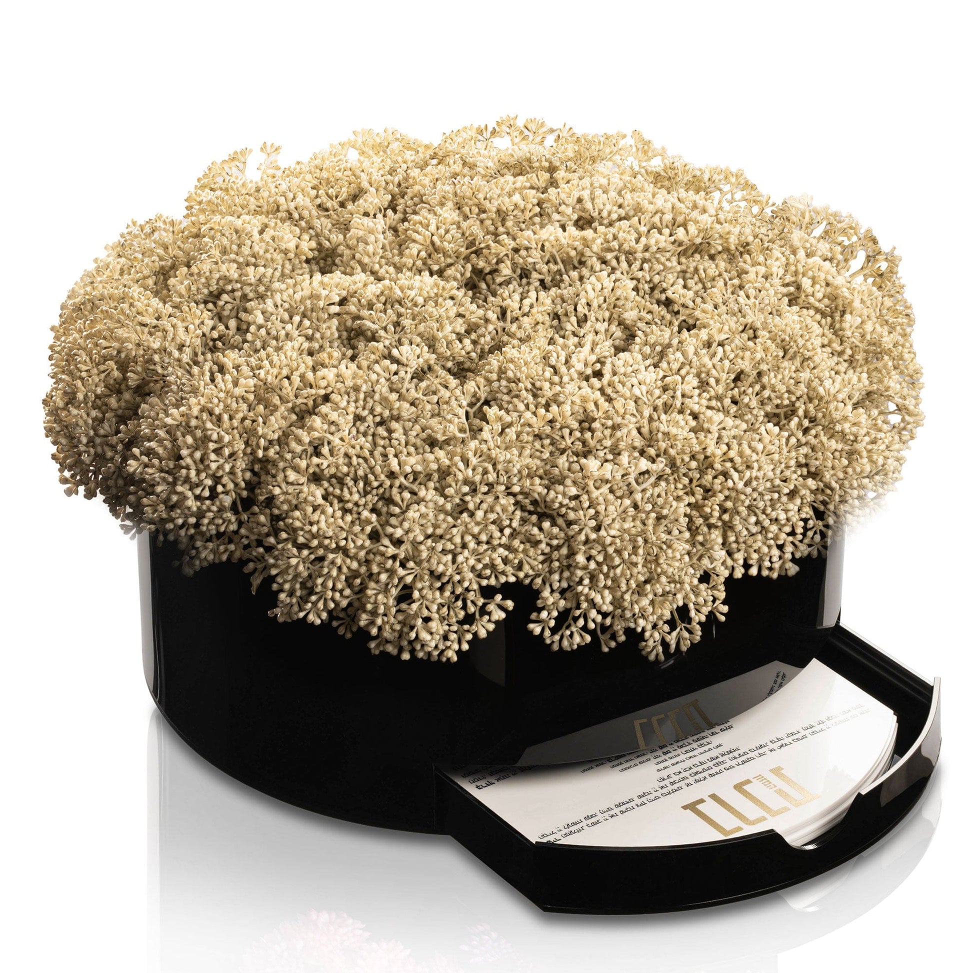 Greenery Round Vase Bencher Set - Black