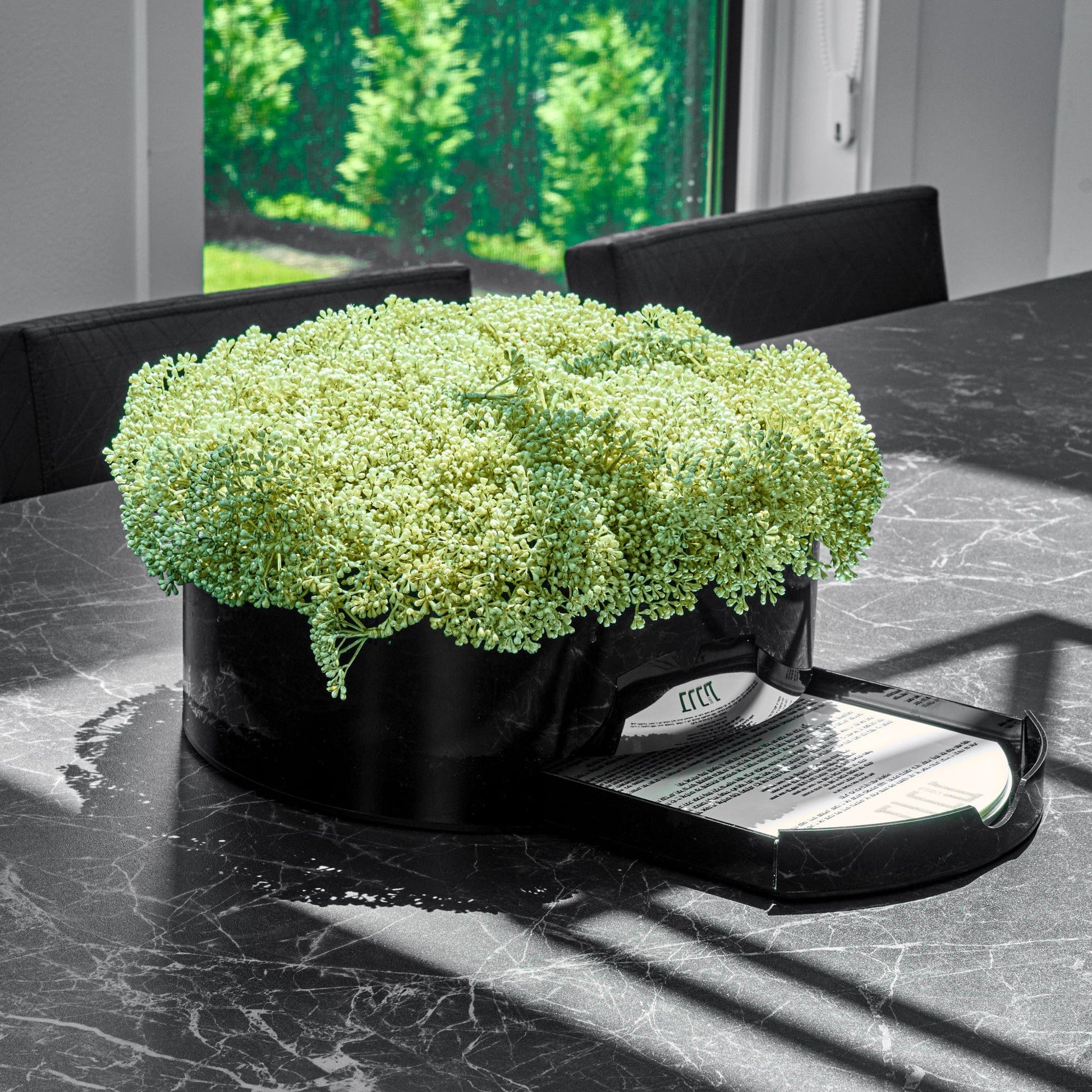 Black Greenery Round Vase Bencher Set on a marble table.