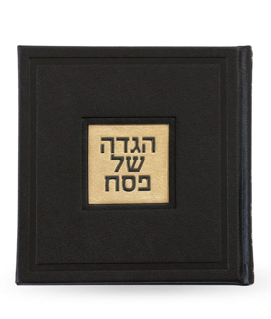 Leather Haggadah with English Instructions