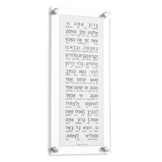 Marble Asher Yatzar - Waterdale Collection