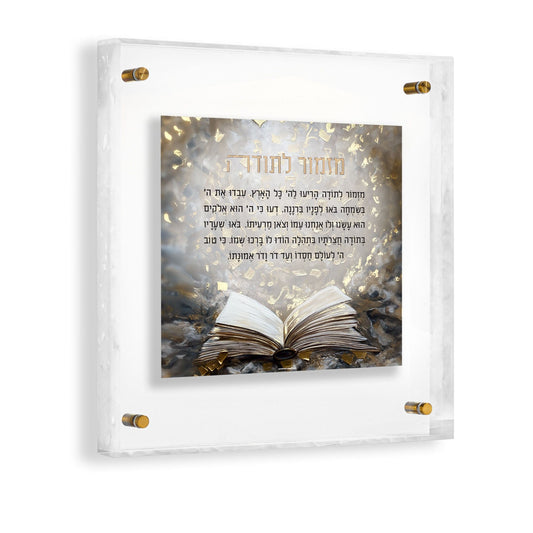 Mizmor Lesoda (מִזְמוֹר לְתוֹדָה) Lucite wall art with gold accents and open sefer design