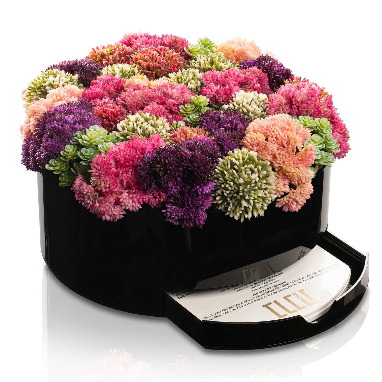 Succulent Pink Round Vase Bencher Set - Black