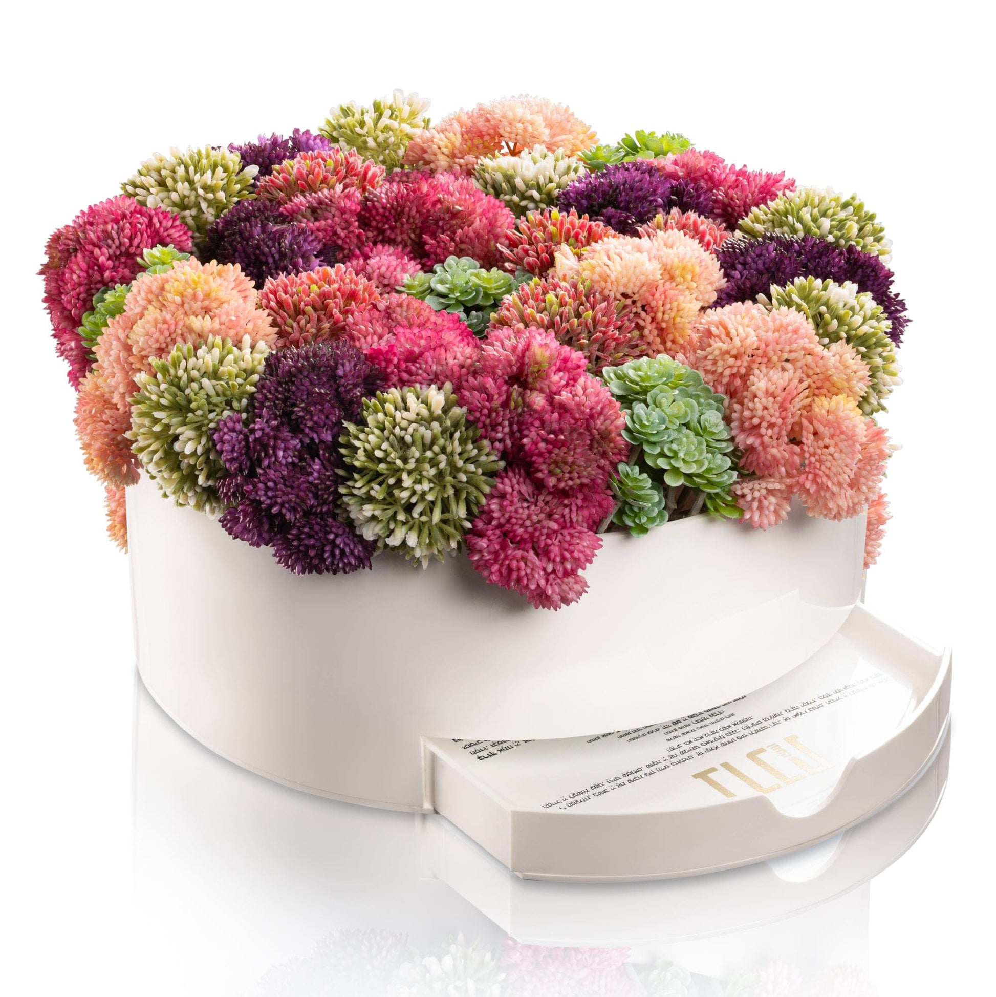 Succulent Pink Round Vase Bencher Set - White