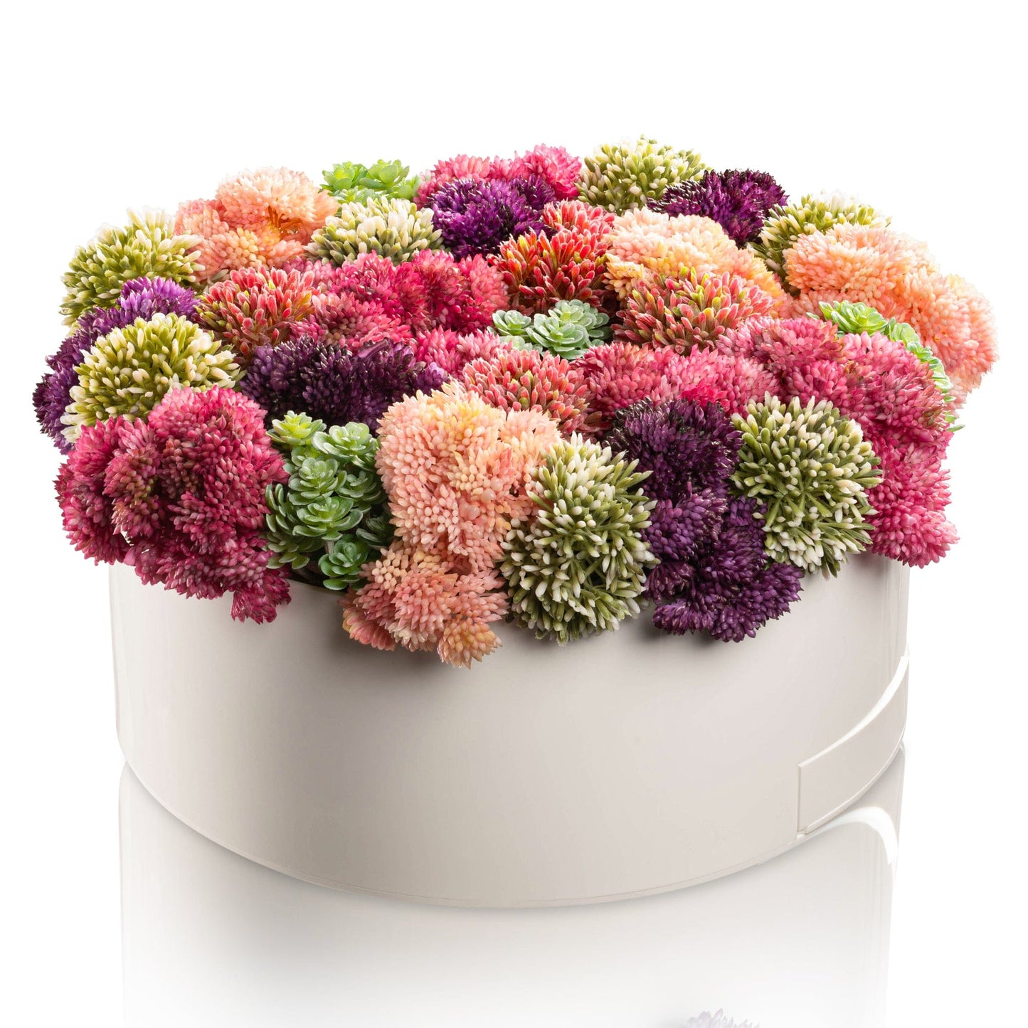 Succulent Pink Round Vase Bencher Set - White