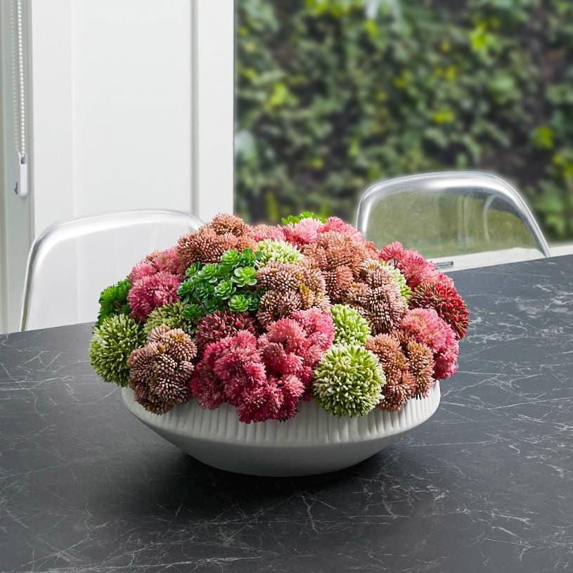 Succulent White Flower Pot featuring clustered blooms, displayed on a black marble table.