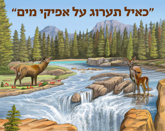 Canvas Paint By Number 20"x25" - "כאיל תערוג"